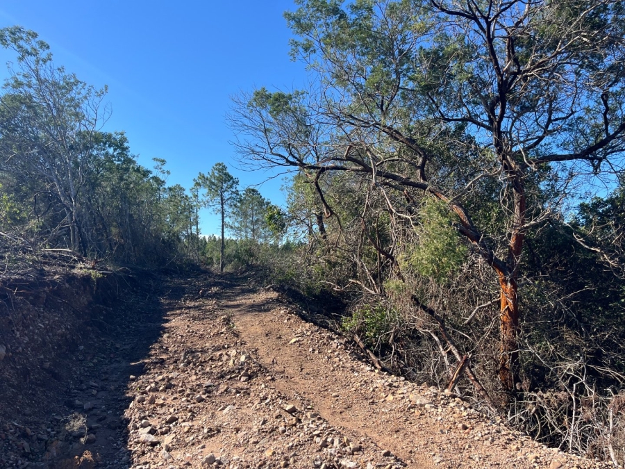 Commercial Property for Sale in Plettenberg Bay Rural Western Cape